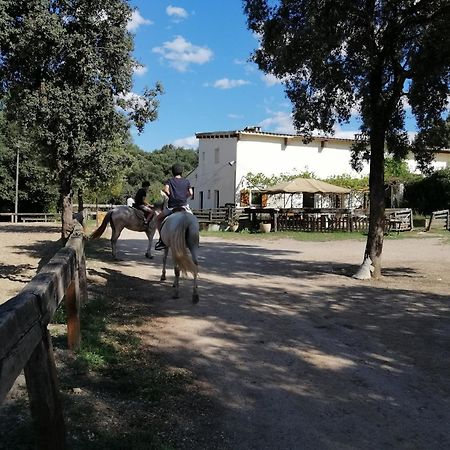 Casa Rural, Can Cirera Seriñá 외부 사진