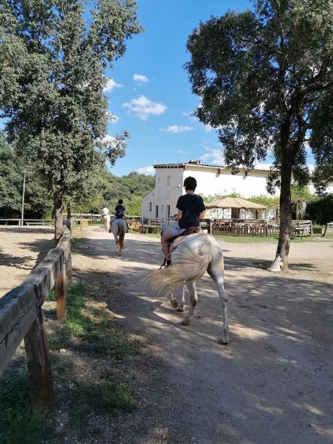 Casa Rural, Can Cirera Seriñá 외부 사진